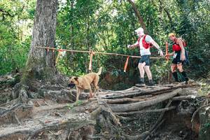 BIB: 
                            <button type="button" onclick="openModal(27742881)" class="btn btn-primary btn-sm float-right btn-popup" data-toggle="modal" data-target=".modal-high-quality">
                        <i class="fas fa-shopping-cart"></i> Add to Cart
                    </button>
                                            <button type="button" onclick="isThisMe(27742881, true)" class="btn btn-success btn-sm float-right btn-popup btn-isme hidden" data-toggle="tooltip" data-placement="bottom" title="นี่คือรูปของคุณใช่ไหม คลิกที่นี่เพื่อเอาเข้าอัลบั้ม">
                        <i class="fas fa-plus"></i> Add to album
                    </button>
                    <button type="button" onclick="isThisMe(27742881, false)" class="btn btn-warning btn-sm float-right btn-popup btn-isnotme hidden">
                        <i class="fas fa-ban"></i> Remove from album
                    </button>